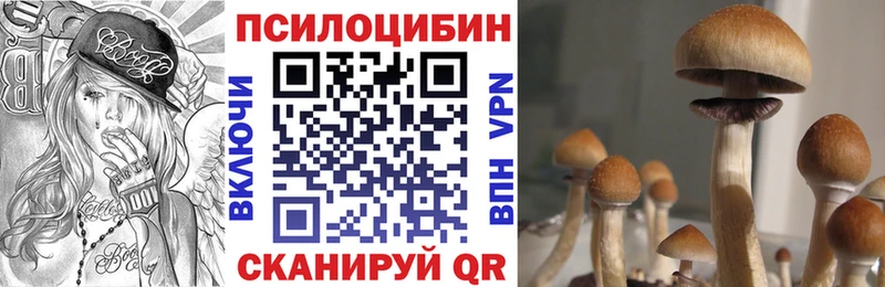 Галлюциногенные грибы Magic Shrooms  МЕГА маркетплейс  Бердск 